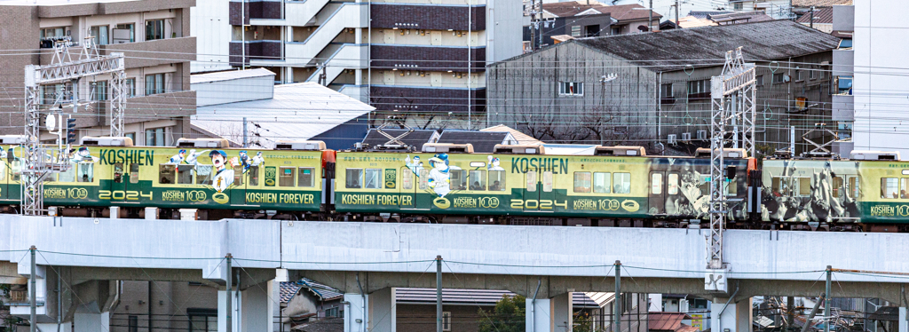 KOSHIEN FOREVER 100（３）