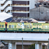 KOSHIEN FOREVER 100（３）