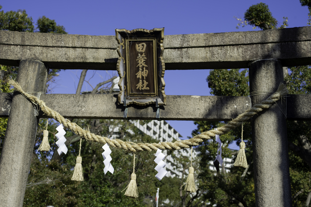 田蓑神社・鳥居