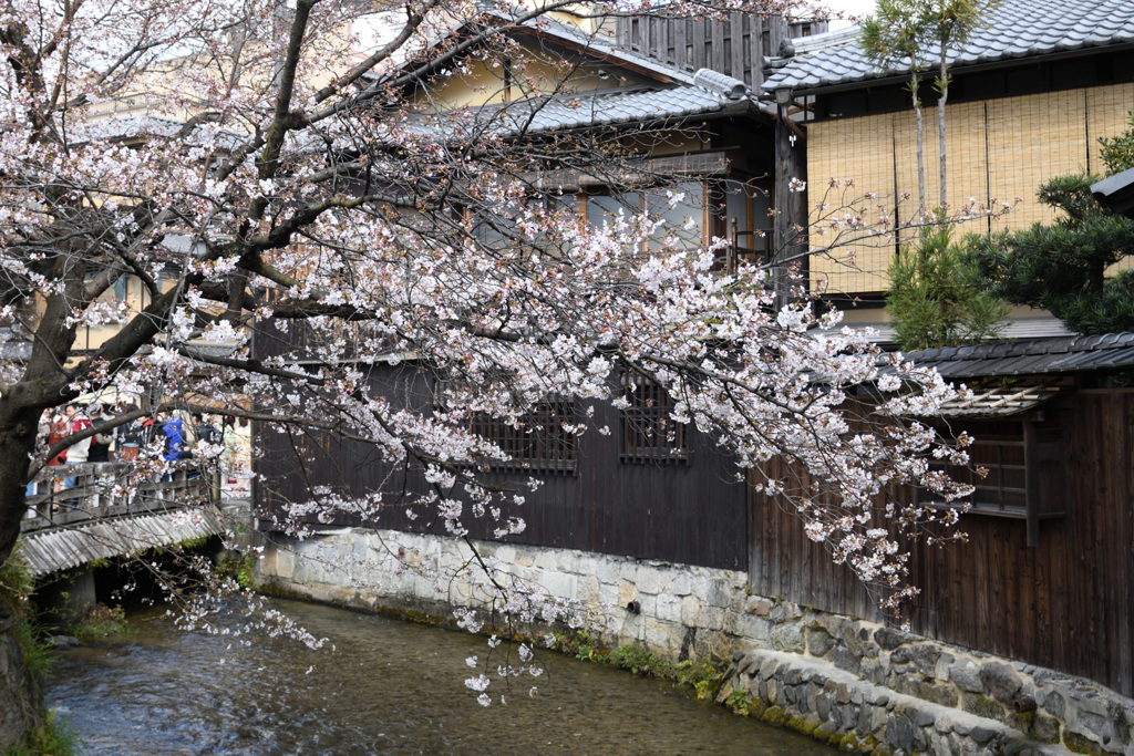 祇園白川　巽橋