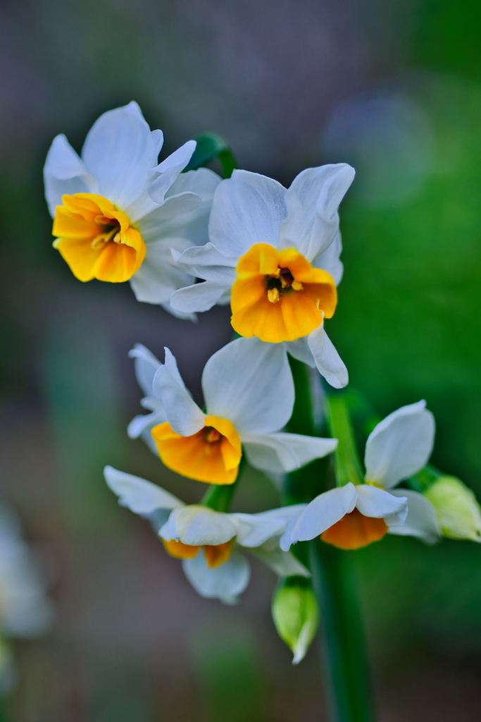 やっとこっちを向いた