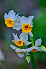 やっとこっちを向いた