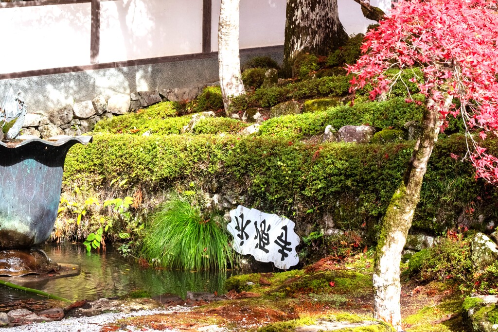 ライトアップ前