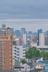 梅雨。。。どんより