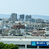 いつもの景色（１）。。。