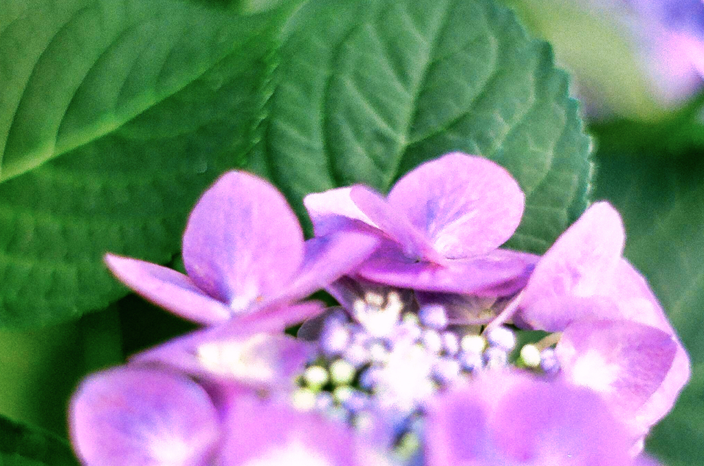 まだこれからか。。。