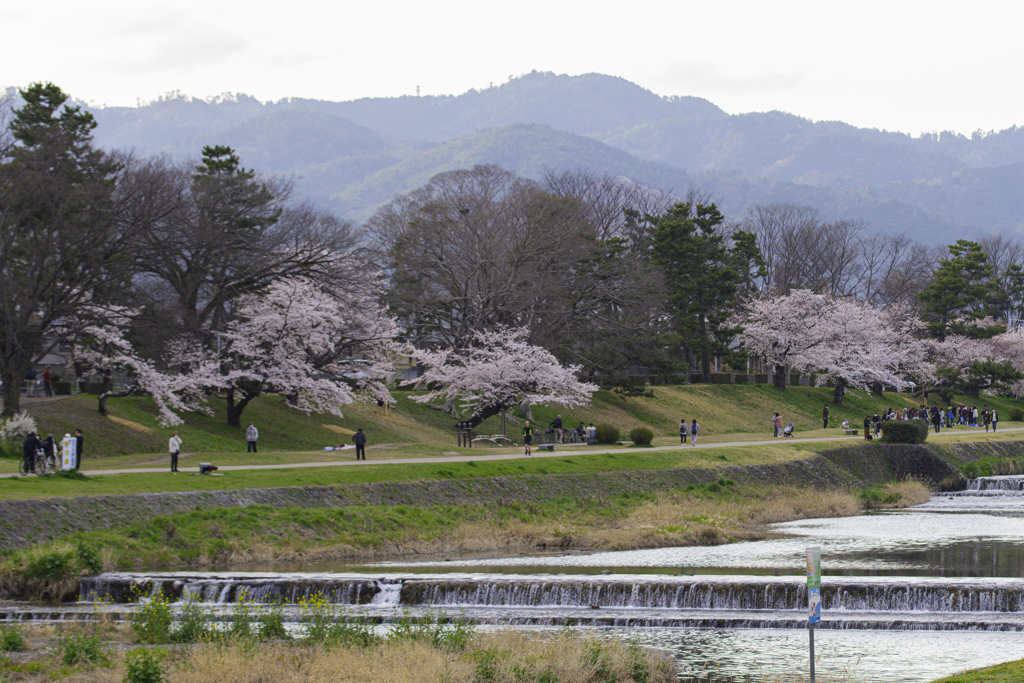 花曇りの河原で。。。