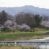 花曇りの河原で。。。