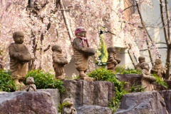 桜花傘の羅漢様。。。