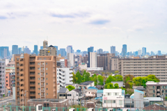 今日はくもりかな。。。