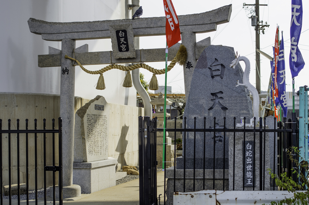 白天宮入口