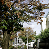 学校帰りに。。。