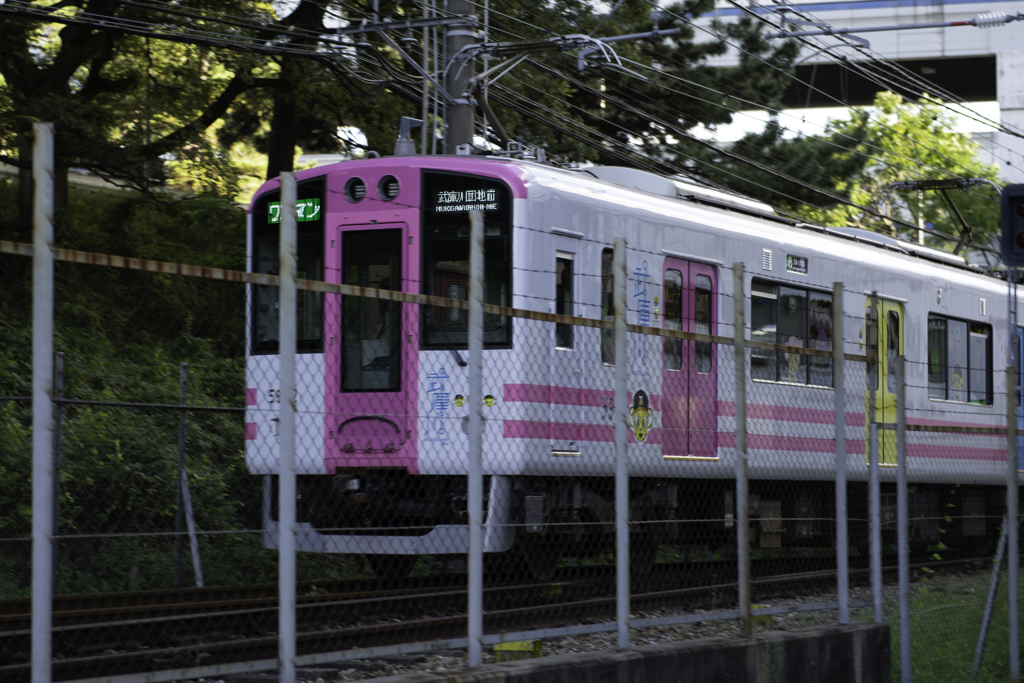 夕日を受けて