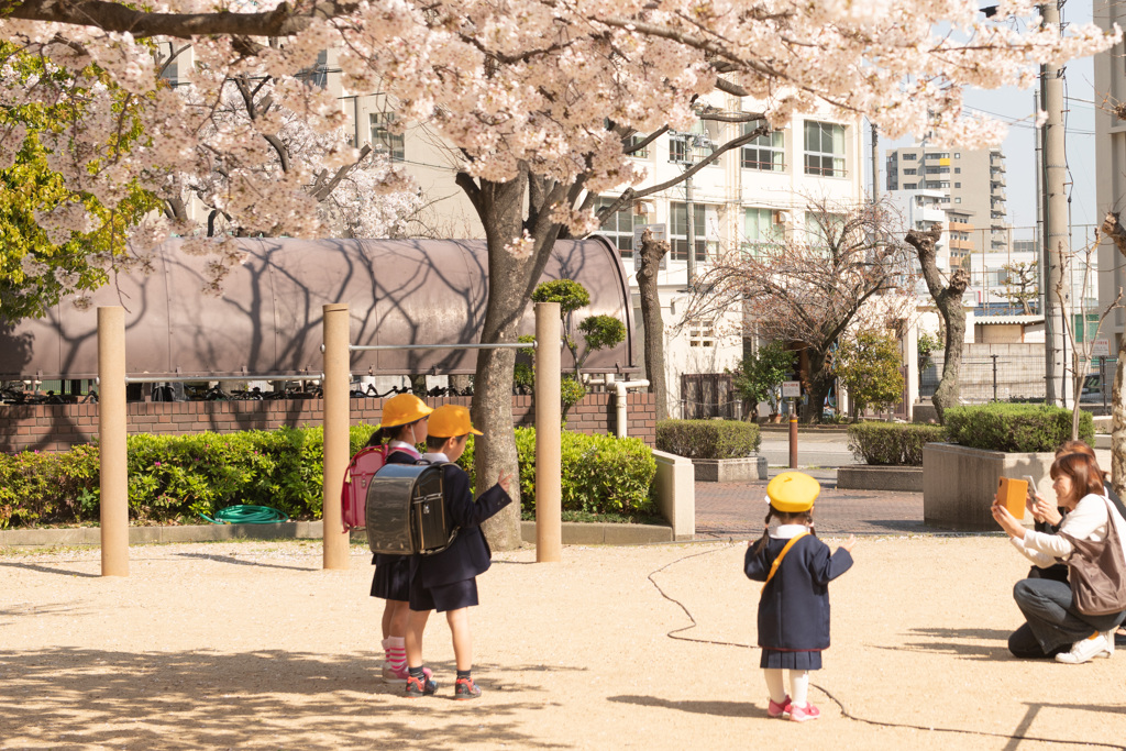 桜の木の下で（２）