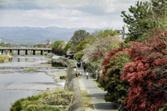 気持ち良い散歩