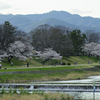 思い思いの河原で。。。