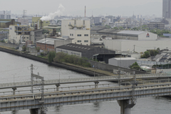 左門渡川右岸岸。。。