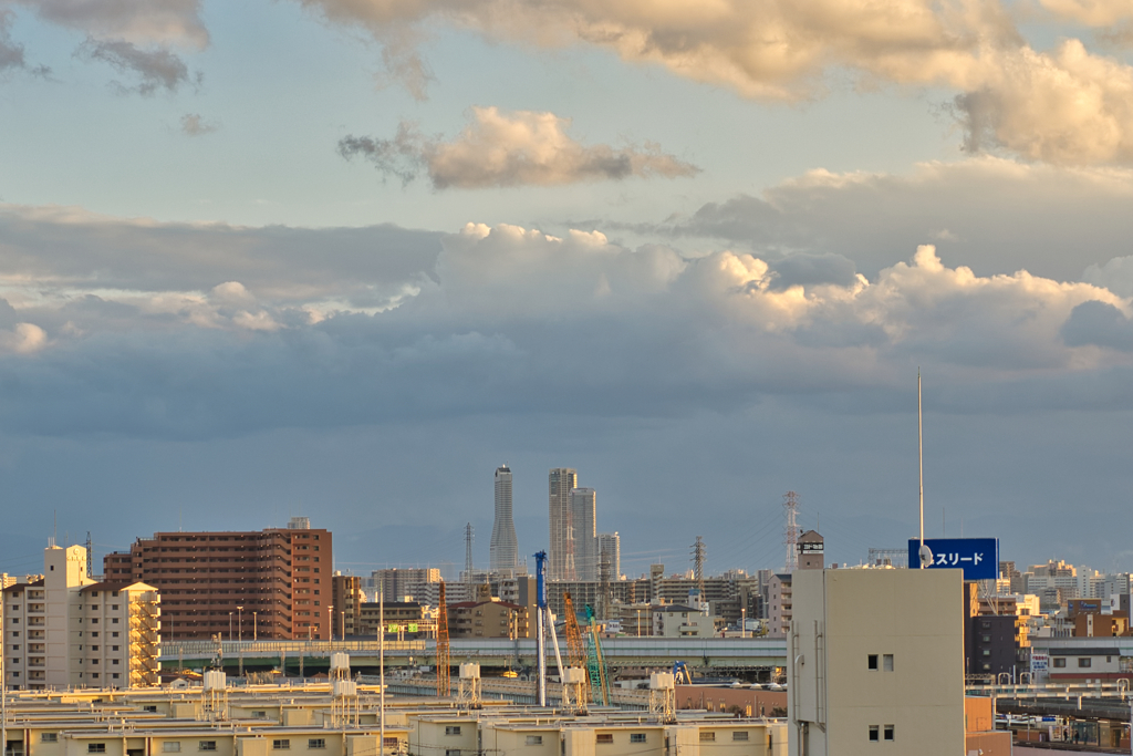 ベイタワービル遠望。