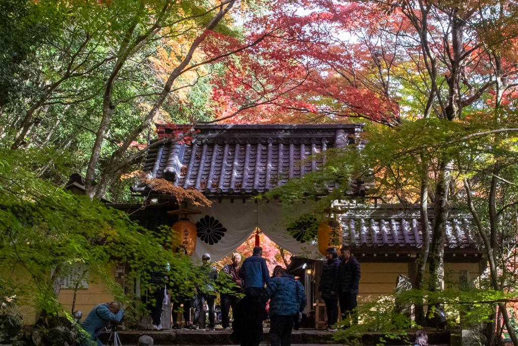 永源寺山門