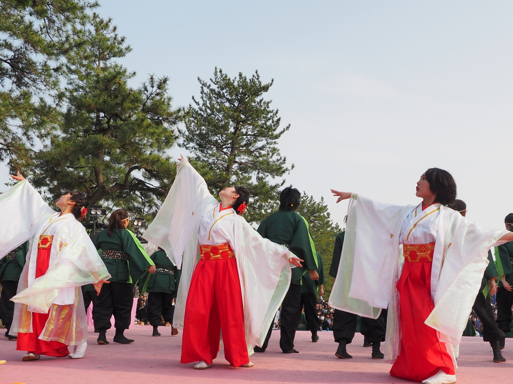 舞い上がる。。。天まで届け