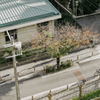 ベランダから