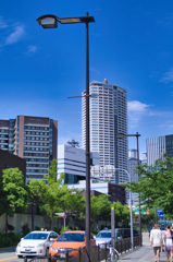 日差しが。。。