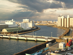 冬空に輝く。。。