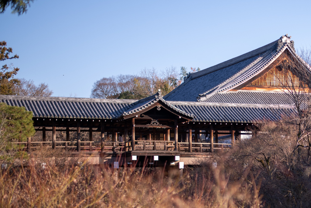 紅葉の賑わいは。。。