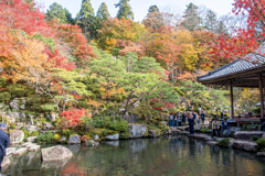 わ、まるで写真