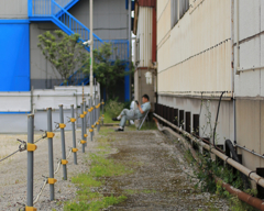 昼休み、日陰で。