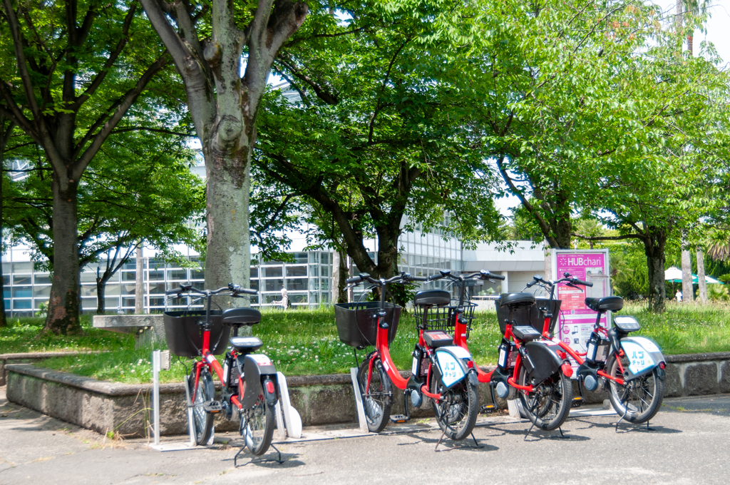 レンタルサイクル、整列。