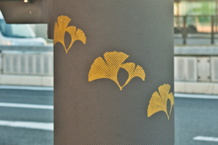 電柱に銀杏が。。。