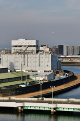 わかりますか。。。飛行機です。