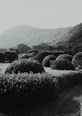 もっこり、こんもり