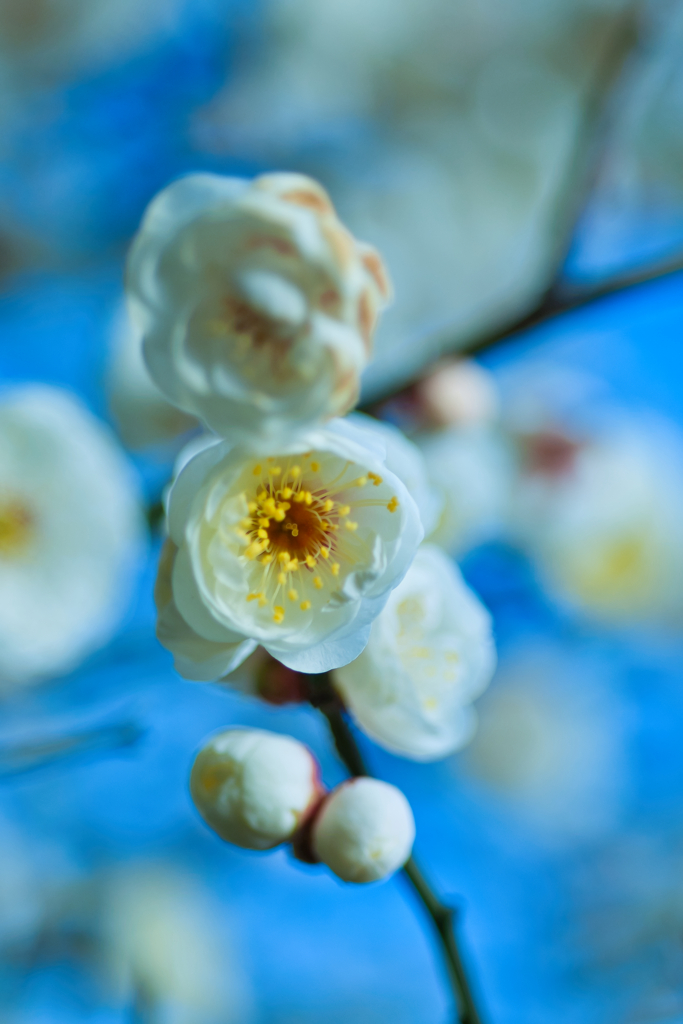 これからだよ。。。