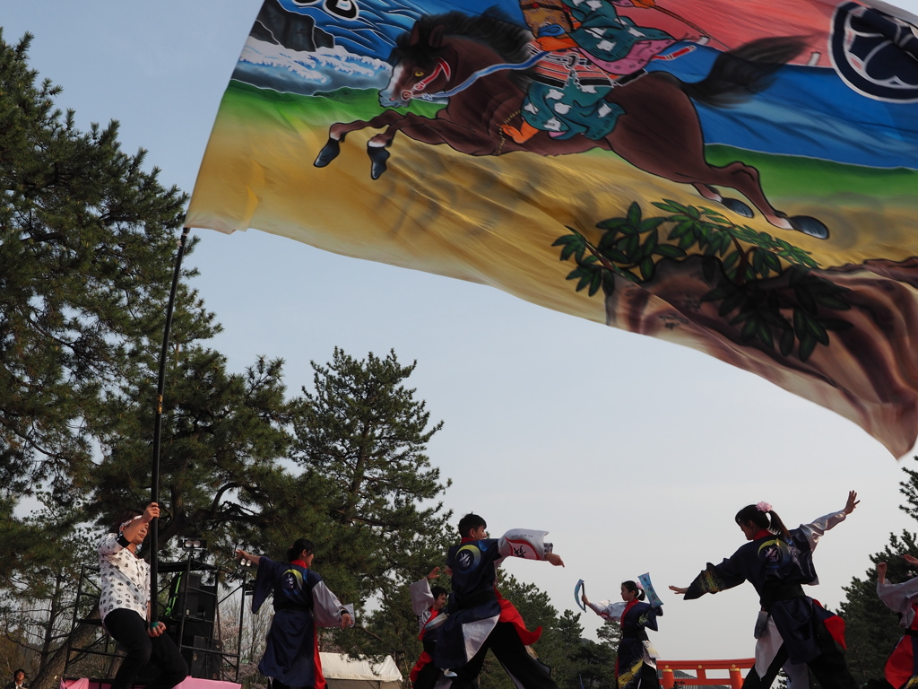 よさこい祭り（２）