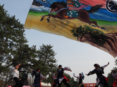 よさこい祭り（２）