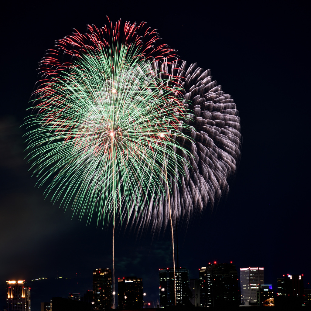 高く、高く伸びて　開く