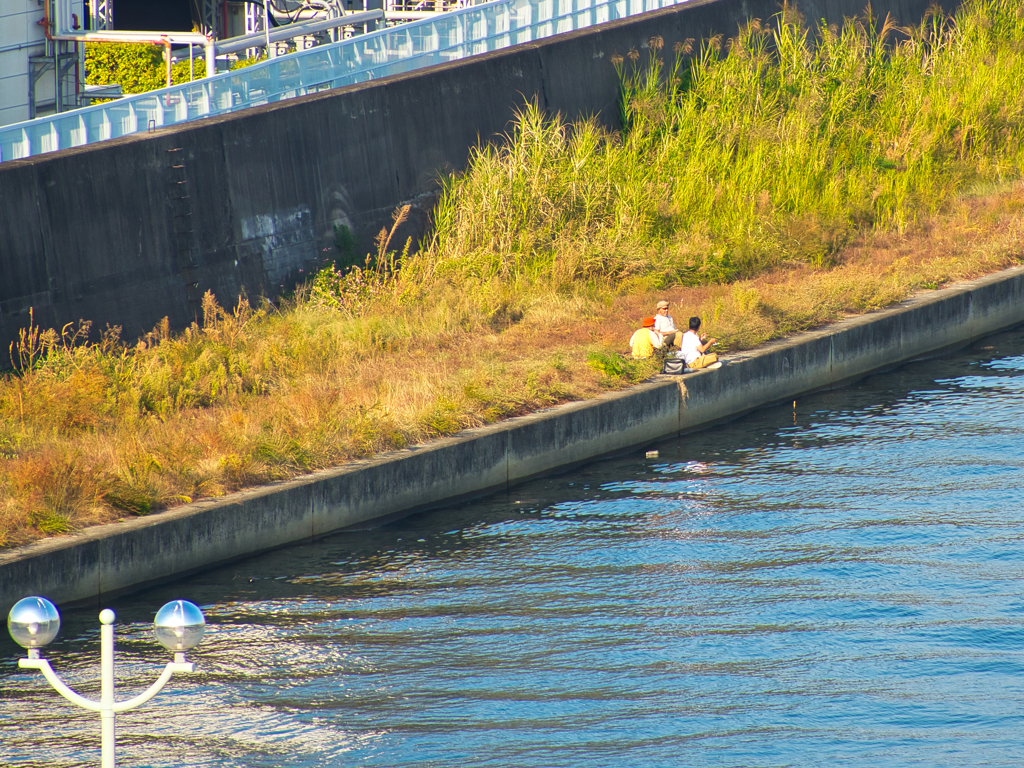 釣れへんなぁ。。。