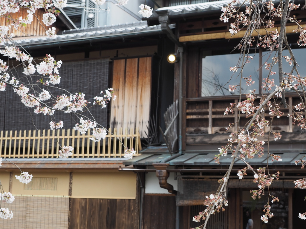 祇園白川06_川にかかる。。。