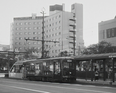 のんびりと。。。