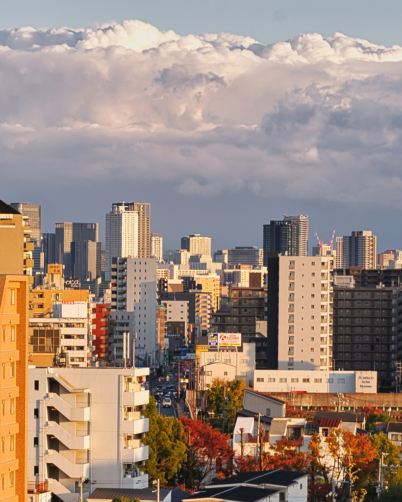 ビルの谷間の国道