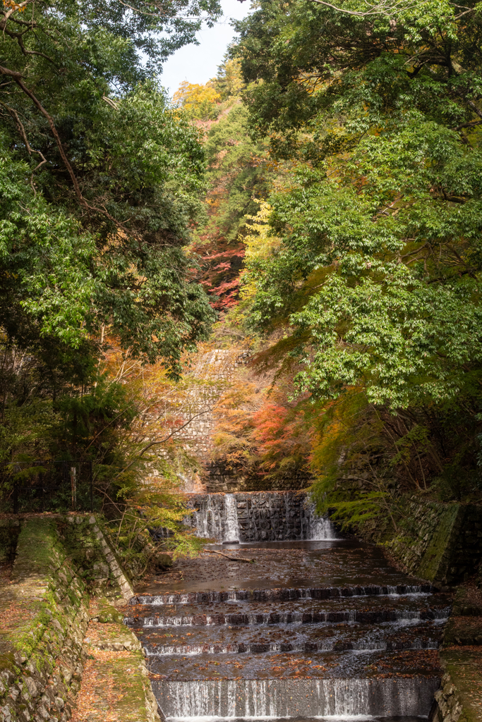 堰堤を囲む紅葉