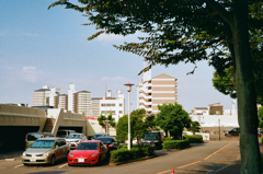 あ、眩しい。。。