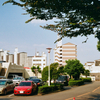 あ、眩しい。。。