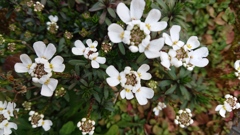少し‥Spring