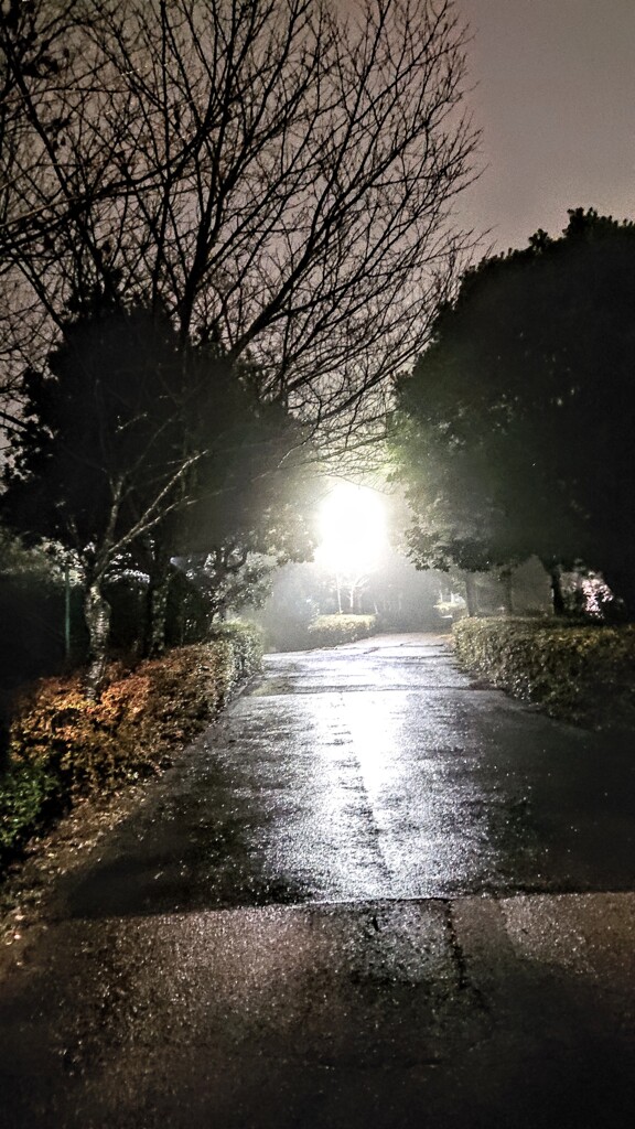 冬の帰り道