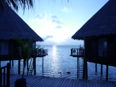 holiday