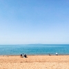 海