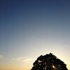 日暮れ